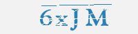 보안문자